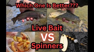 Spinners Vs Live Bait Which One Is ACTUALLY Better PA Trout Fishing 2024 Ep13 [upl. by Laucsap]