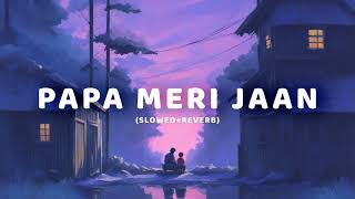 ANIMAL PAPA MERI JAAN SlowedReverb Ranbir Kapoor  Chilled Tunes [upl. by Norty]