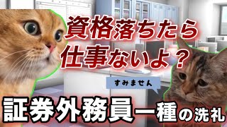 【銀行員の資格】証券外務員一種落ちた話 猫ミーム catmemes [upl. by Esenwahs]