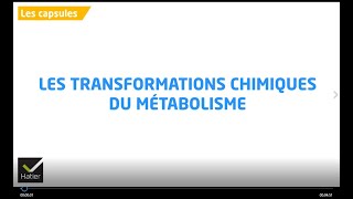 SVT 2de  Transformation chimiques du métabolisme [upl. by Aicylla445]