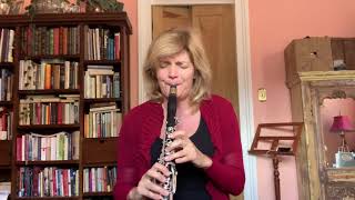 Chorinho Pra Ele by Hermeto Pascoal Susanne Ortner clarinet [upl. by Ridinger]