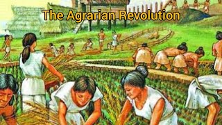 The Agrarian Revolution Essay explained and summary [upl. by Frants]