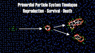 200k partticle Artificial life TimeLapse  Emergence  Reproduction  Death [upl. by Graaf]