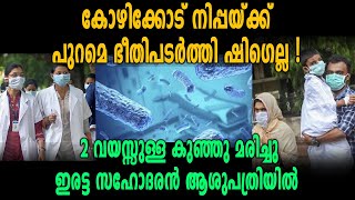 Nipahയ്ക്ക് പുറമെ ഭീതിപടർത്തി Shigella  Oneindia Malayalam [upl. by Nilok56]