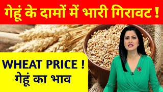 गेहूं का आज का भाव 20 October 2024  Today Gehun Ka Rate wheat price today गेहूँ के भाव में तेजी [upl. by Deering984]