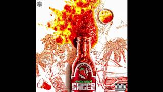 Aidonia  Peppa Sauce Official Audio [upl. by Nielson671]