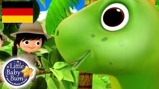 Dinosaurier Lied  Kinderlieder  Little Baby Bum Deutsch  Kinderreime Für Kinder [upl. by Anitsirt]