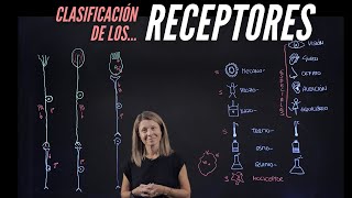 Espolón calcáneo  Alimentación nutrición y modificaciones en la dieta [upl. by Alaik]