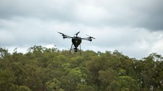 Dendra Systems aerial seeding platform spreads millions of seeds to restore koala habitats [upl. by Nnyleuqaj]