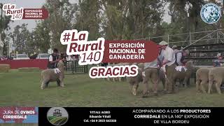 Remate de Ovinos Transmisión en vivo de Sociedad Rural Bahía Blanca 2023 [upl. by Weitman526]