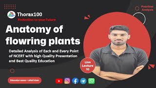 Anatomy of flowering plants Lecture 10 for Class 11 amp NEET Thorax100 [upl. by Nuli]