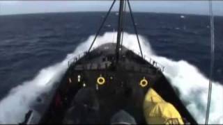 Operation Migaloo  200708  Sea Shepherd Whale Defense [upl. by Imer186]