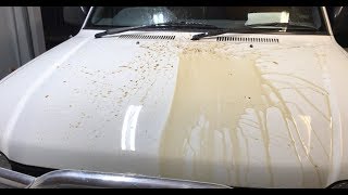 RESTORE faded paint from 20 year old car [upl. by Manthei]