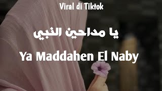 Ya Maddahen El Naby يا مداحين النبي  Lirik amp Terjemahan  Viral Tiktok [upl. by Ivory735]