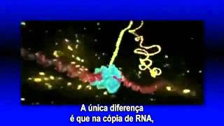 Dogma Central da Biologia Molecular LEGENDADO ptBR [upl. by Firmin491]