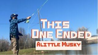 Bass Fishing Early Spring With a Musky Ending flyfishing flytying [upl. by Erminie223]