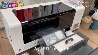 30cm low cost DTF printer [upl. by Yeldoow94]