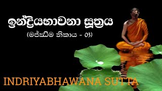 ඉන්ද්‍රියභාවනා සූත්‍රය  Indriyabhawana Sutta [upl. by Trixy]