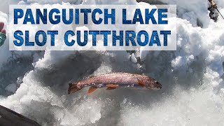 Panguitch Lake Cutthroat Trout Ice Fishing 2021 Utah Winter RAINBOW w FINALLY FISHING [upl. by Htebharas475]