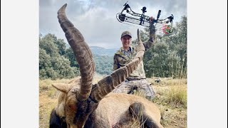 Beceite Ibex Hunting in Spain [upl. by Elyn]