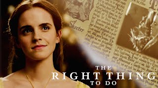 The Right Thing To Do  Hermione Granger amp Draco Malfoy [upl. by Drageruaeb]