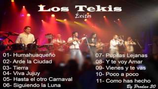 Los Tekis  Éxitos en vivo [upl. by Synn]