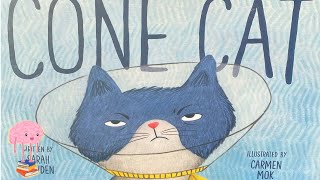 🐈 Kids Read Aloud Cone Cat [upl. by Aleka]