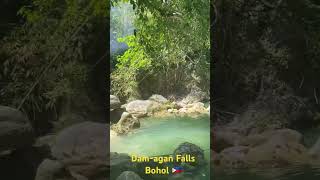 Damagan Falls💨Bohol 🇵🇭travel nature filipiny waterfall digitalnomad philippines [upl. by Gnilrits]