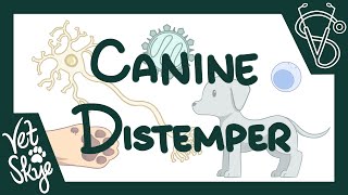 Canine Distemper  cause pathophysiology clinical signs diagnosis treatment prevention [upl. by Nasya]