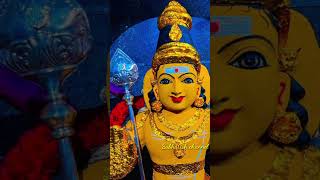 Santhanam manakuthu karpooram jolikuthu tamildevotionalsongs lordmurugansong [upl. by Ellebana]