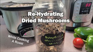 How To ReHydrate Dried Mushrooms [upl. by Ellertal]