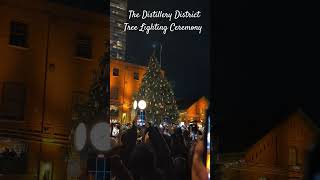 The Distillery District Tree Lighting Ceremony  Toronto 2024  Christmas Season  Festive Season [upl. by Madaras]