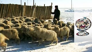 The Eccentric Leader of the Russian Republic of Kalmykia 1998 [upl. by Heinrich]