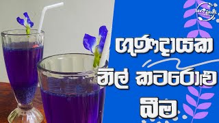 Nil Katarolu Mal Drink  නිල් කටරොළු බීම  Blue Drink  Clitoria Ternatea  Table Treats [upl. by Sidnak]