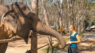 Einer der größten Fehler unseres Lebens • Phuket • Thailand  VLOG 317 [upl. by Inan]