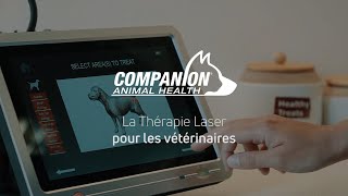 La thérapie Laser Companion® pour les vétérinaires [upl. by Yramanna703]