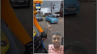 Dog attack on bunny helmet 😱dogattack funny bengaluru mrcrazy ridervsdog dog shortsfeed [upl. by Yenahteb]