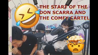 How Don Scarra and the Comfy Cartel started w lilypichu and Disguised Toast [upl. by Rehm]