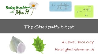 Paired TTest vs Unpaired TTest [upl. by Ahtamat]