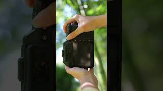 100 Megapixel Details With Hasselblad X2D Camera [upl. by Jaquelyn272]