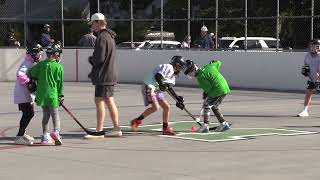 MCN  MHS Boys Street Hockey Tournament Preview 2024 [upl. by Durr336]