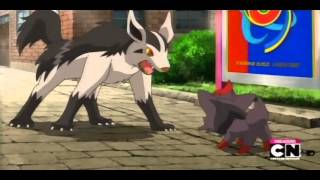 Zorua is strong you know [upl. by Areta598]