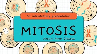 Mitosis cell Division [upl. by Xila]