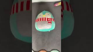 music backstreetboys pop squishmallows beats [upl. by Tlihcox]