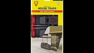 Best mouse trap I’ve found MouseTrap RatTrap Rodent trap [upl. by Llerihs299]