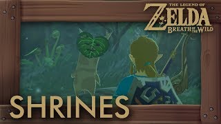 Zelda Breath of the Wild  All Shrines Woodland Tower Locations Solutions amp All Chests [upl. by Parrisch954]