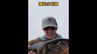 戶外釣魚：漁民用小螃蟹做餌在跨海大橋下釣獲石斑魚！ 原來釣魚才是抖音運動頂流 釣魚 [upl. by Macey]