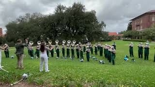 Tulane University marching band [upl. by Eneryt]