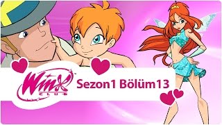 Winx Club  Sezon 1 Bölüm 13  Büyük Bir Sır Açığa Çıkıyor [upl. by Mateusz]