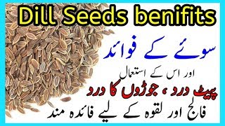 Health Benefits of Dill Seeds  soey ke fawaid ur us ke istemal By Hakeem Zia Shahid [upl. by Annawik562]